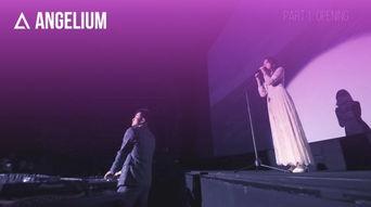 ANGELIUM,揭秘神秘宇宙之花