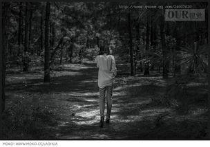 黑白森林 普通话版,探寻神秘森林的奇幻之旅