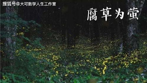 盛极一时的爱情,一段传奇佳话的辉煌岁月