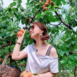 咬红杏,探寻爱情与欲望的甜蜜交织