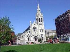 圣弗朗西斯,慈悲与自然的守护者