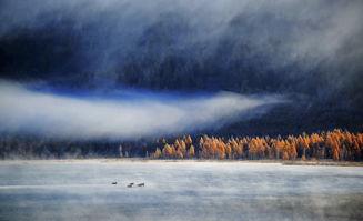 秋水长天,探寻自然与心灵的和谐共鸣