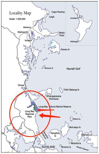 鱼贼：五大湖之谜,揭秘水下神秘生物的传奇故事