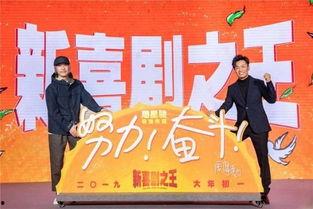 寻找广告牌之王,揭秘“寻找广告牌之王”背后的辉煌故事